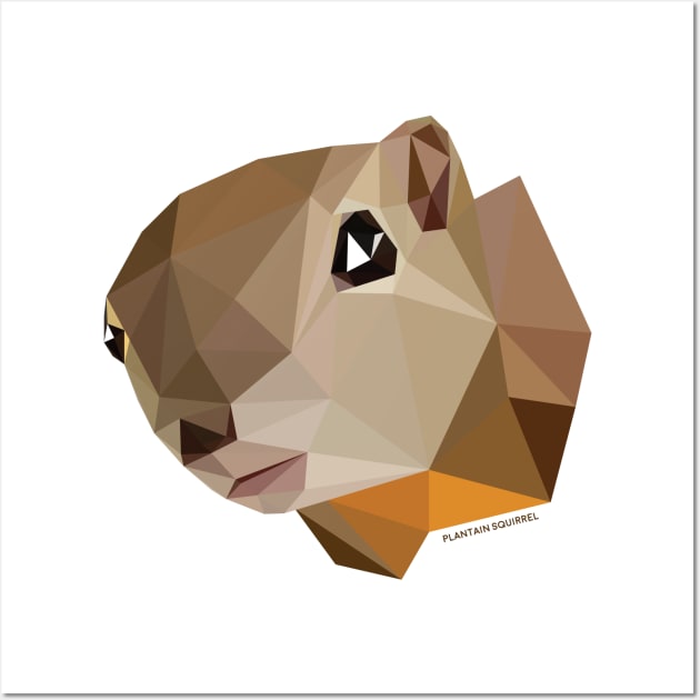 Plantain Squirrel Wall Art by GeometricWildlife